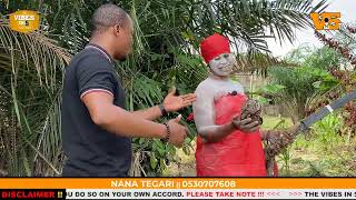 I am 7 months pregnant with baby snakes in my belly. I am married to a snake - Nana Tegari