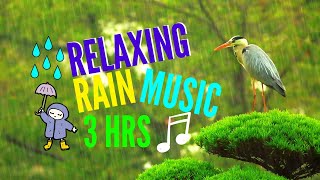 Relaxing Music With Rain Sounds | Focus, Study, Meditate, and Sleep Better