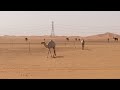 يا عيد 