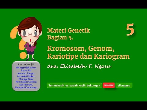 Video: Apakah nombor kromosom 2n untuk karyotype anda?