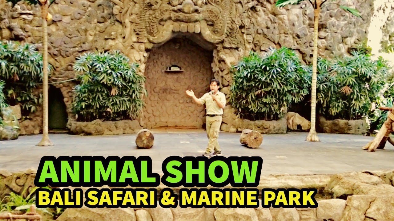 Bali Safari & Marine Park - Animal Show [FULL] - YouTube