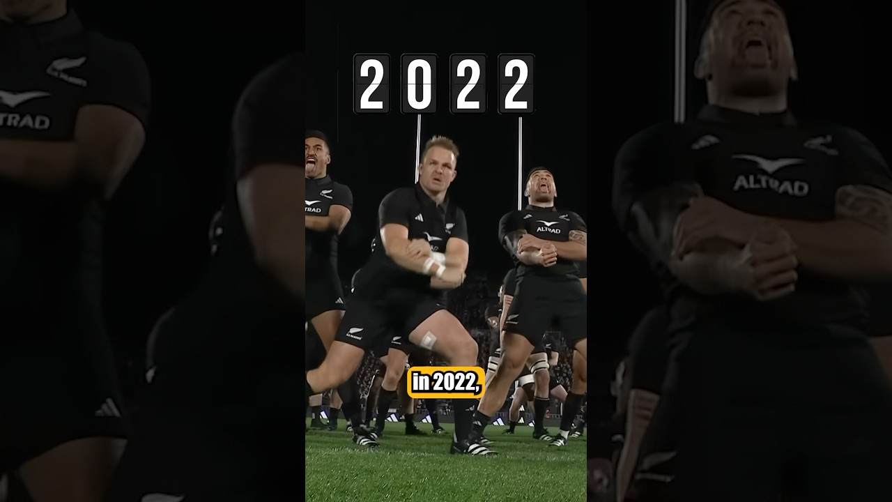 Springboks Lowest World Ranking Ever? 🥲