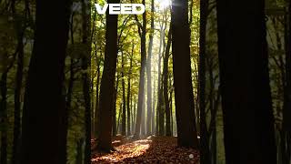 Peaceful Nature 🌼 | Calm Moments for Kids | Relaxing Sensory Video