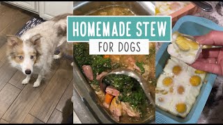 Homemade Stew for Dogs