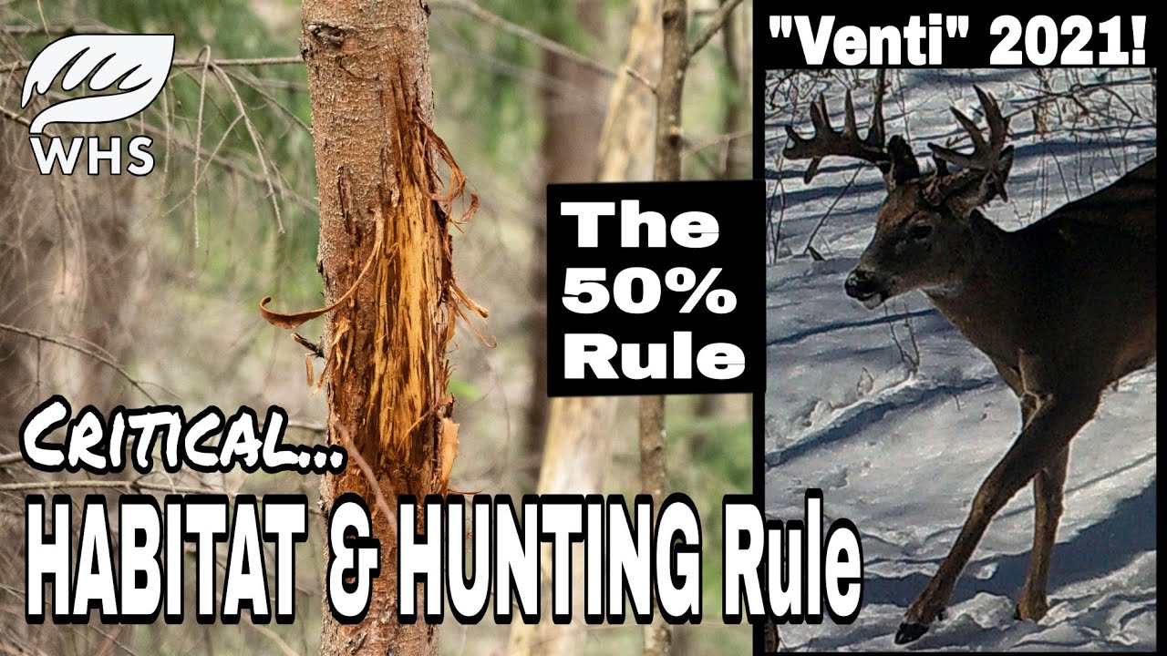 Critical Deer Habitat and Hunting Rule YouTube