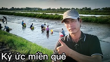 Kiên Giang.Thu hoạch tôm càng xanh ở vĩnh bình nam hàng tấn thấy ham quá trời