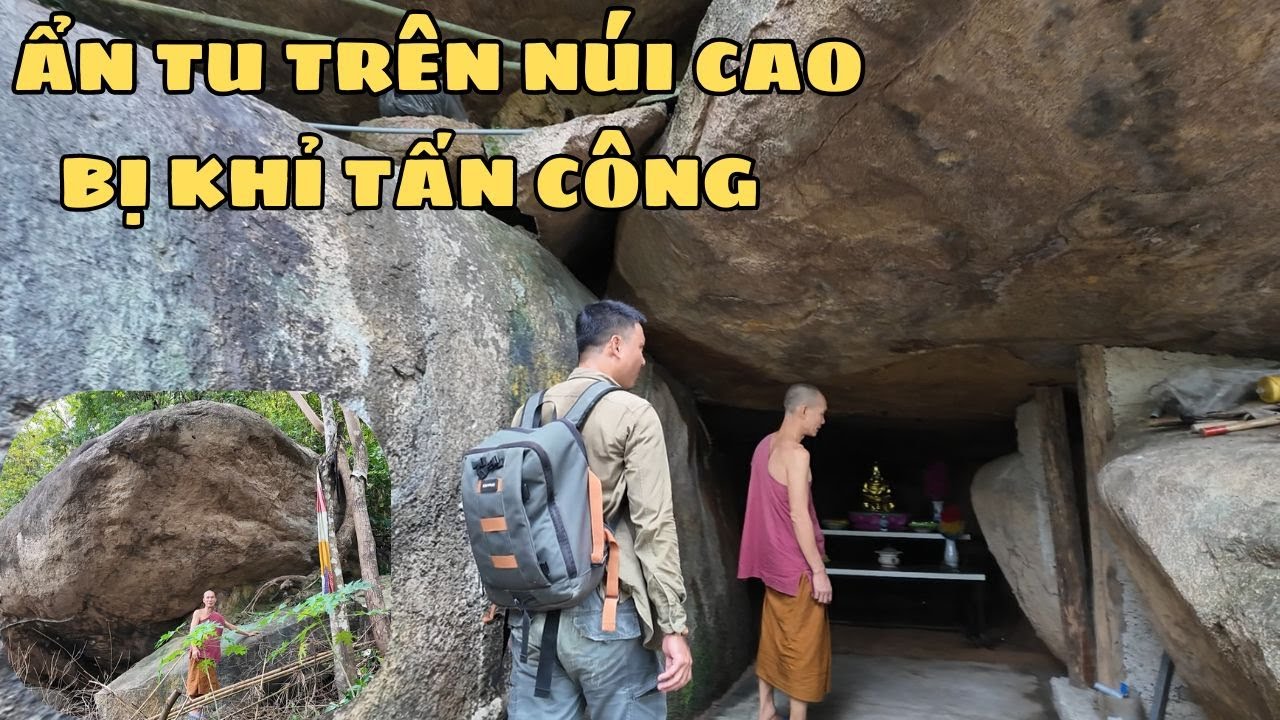 Nhà Sư Ẩn Tu Trên Núi Bị Đàn Khỉ Tấn Công Nát 1 Cánh Tay Phải Hạ Sơn Điều Trị