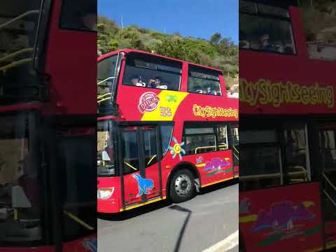 Video: CitySights NY Hop-On, Hop-Off autobusų kelionių apžvalga