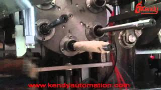 Automatic China egg roll production machine