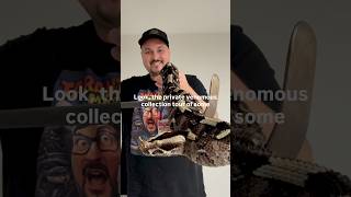 Venomous Snake Collection
