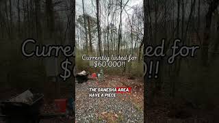 Land Lot For Sale Near Lake Guntersville, Alabama. $60,000 is the asking price!!