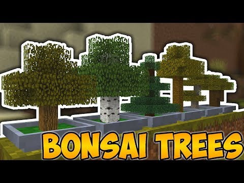 Minecraft Java - TINY TREES - Bonsai Trees || Mod Showcase (Vanilla Only)