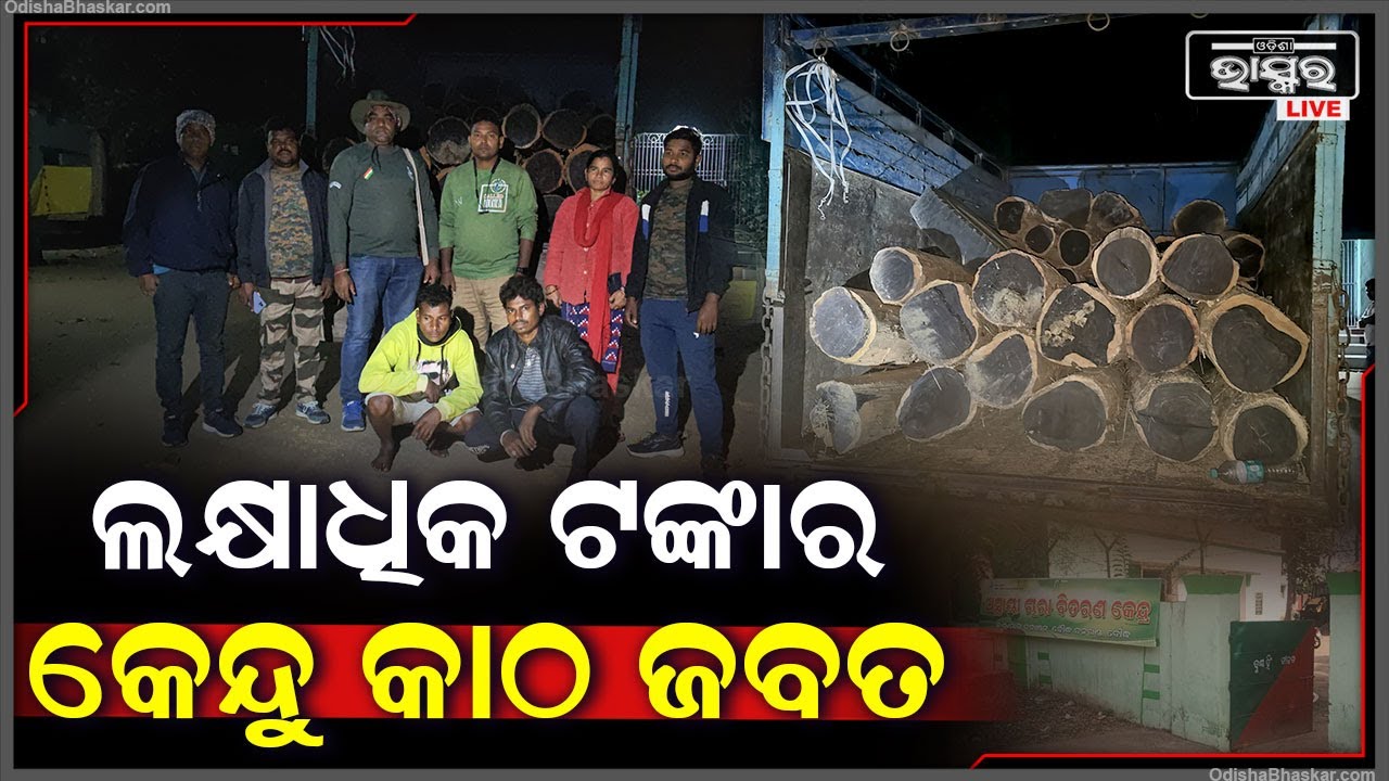 ଗୋଡ଼ାଇ ଗୋଡ଼ାଇ ୨ ଜଣ କାଠ ମାଫିଆକୁ ଧରିଲା ବନ ବିଭାଗ I ଏବେ ଗିରଫ ହୋଇଛନ୍ତି ୨ ମାଫିଆ