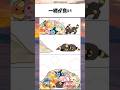 一緒が良い#ポケモン #pokemon #アニメ