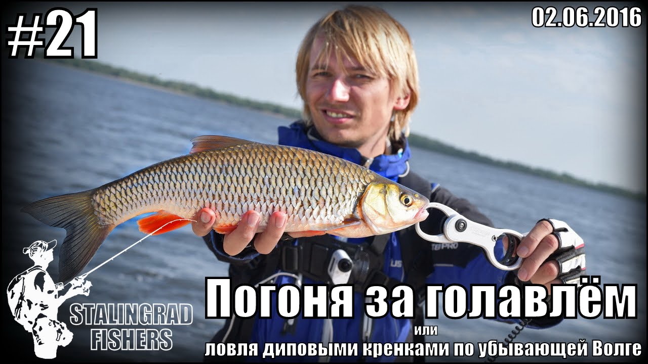 Погоня за волгой