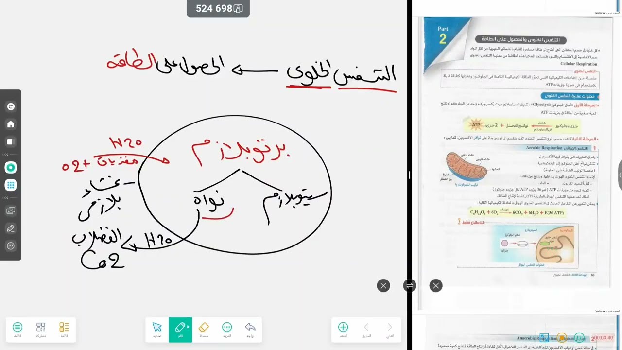 التنفس الخلوي في الإنسان _ علوم متكاملة ترم ثاني 2026 _افهمها ما تحفظهاش 