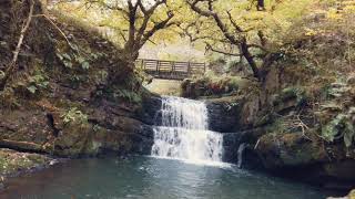 A walk to Sychryd Waterfall in South Wales. UK