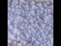 Video: Chalcedony psm melanophlogite, Trestia, Romania, 77 grams