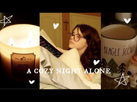 cozy night alone || vlog 6