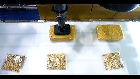 Nut Packaging Equipment Solutions for Large Bags | Delkor Systems