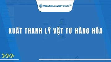 Xuất thanh lý vật tư hàng hóa | MISA MIMOSA.NET