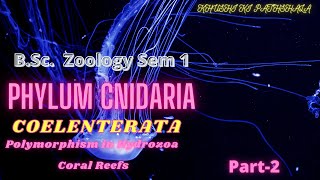Phylum Cnidaria || Polymorphism and Coral Reef || Part 2 || B.Sc. Zoology Sem 1 || Chapter 6 ||