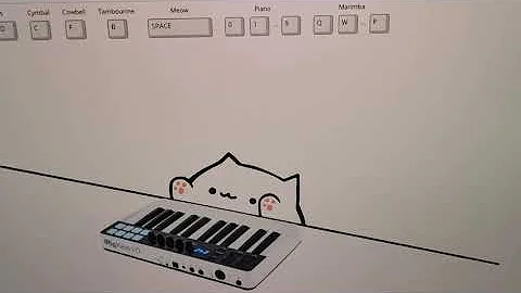 When I play happy birthday on bongo cat