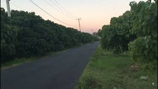 semoga tercapai segala cita cita mu anakku