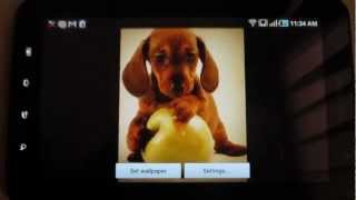 PUPPY APPLE LWP - App review by ReviewBreaker screenshot 1