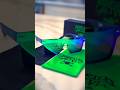 LIMITED EDITION GREEN SUNGLASSES
