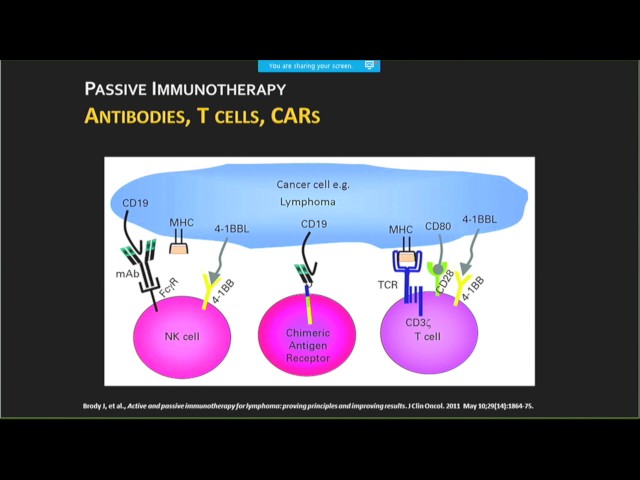 Joshua Brody, MD: Lymphoma immunotherapy: Re-purposing Our Patients' Immune Systems to Kill Cancer,”