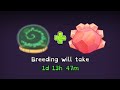 WHAT DID WE BREED TODAY!?!
