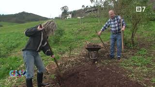 #12 Siembra de PATATAS TEMPRANAS, como, cuando. #llevotealguertu