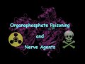 Organophosphate Poisoning and Nerve Agents