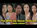 The wife he never noticed : Full drama Summary