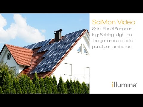 Shining a light on the genomics of solar panels contamination - YouTube