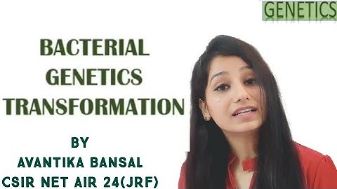 Bacterial Transformation & Gene Mapping using Transformation-  Genetics|CSIR NET|Previous year quest