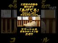 王道家の看板を 使わせて 「あげてる」 だからよっぽど やる気がないとな! コマー #川﨑家 #王道家 #Ramen #清水裕正 #ラーメン #らーめん #家系ラーメン #家系 #吉村家