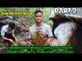 Hewan langka dan Exotic Manouria Emys/kura-kura kaki Gajah//Eksplore Bukit bedari Part 2