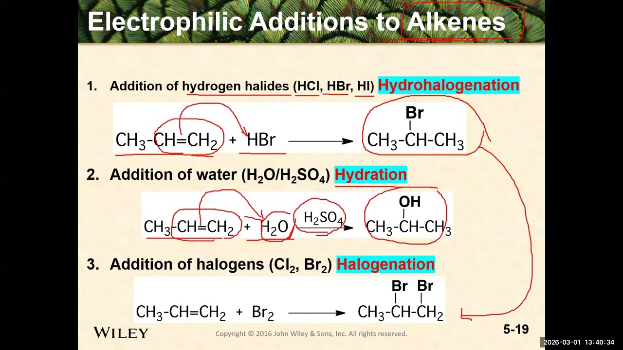 Ch 5: Electrophilic Addition Reactions of Alkenes (Hydrohalogenation and Acid Catalyzed Hydration)