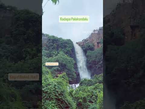 #kingofbadvelhunt #nature #floods #rains #badvel #kadapa #proddutur #andhrapradesh