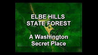 ELBE HILL STATE FOREST / A Washington Secret Place / Fire by the side of the road in snow at 2600 ft