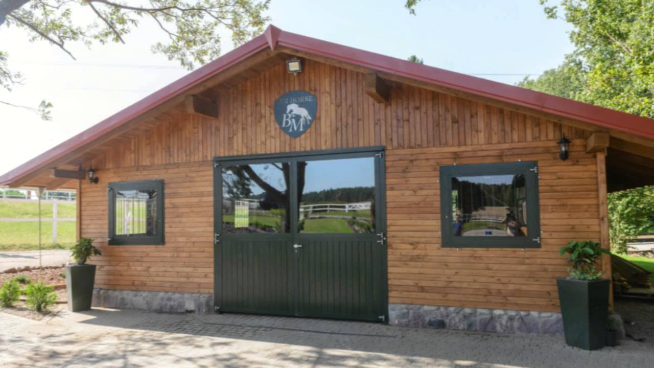 BM Horse BM HORSE spot Bytów TV 2, Riding accesories