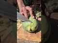 #fruit #fruits #asmr #cuttingart #cuttingskills #satisfying #soothingsounds#viral#viralshorts #fyp