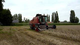 Tarwe Dorsen Van Vugt Op 10-08-2011 Met Dania 8500 In Maren-Kessel