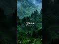 #quranrecitation #qurantilawat #youtub #yputubeshorts