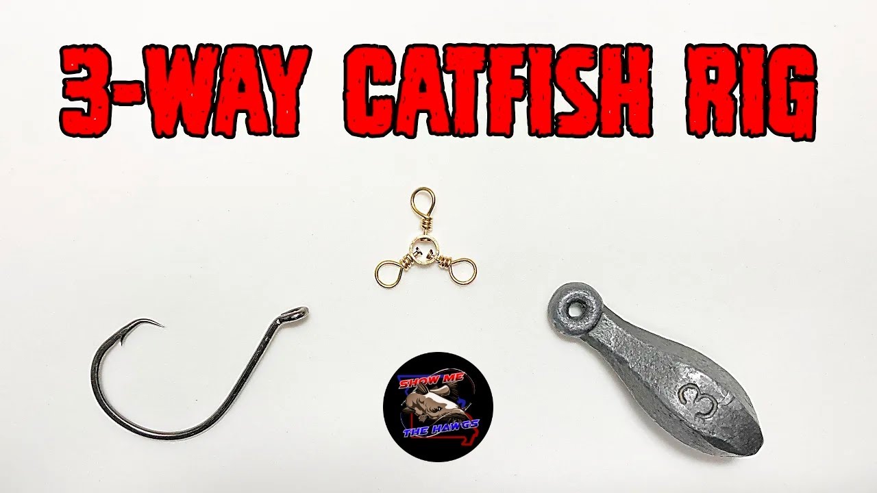 How to Tie a 3-WAY CATFISH RIG!  Best Catfish Rigs for Beginners