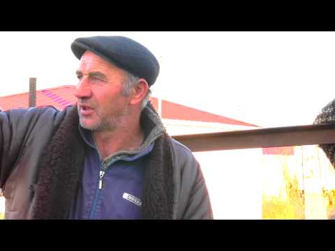 წეროვანი 1