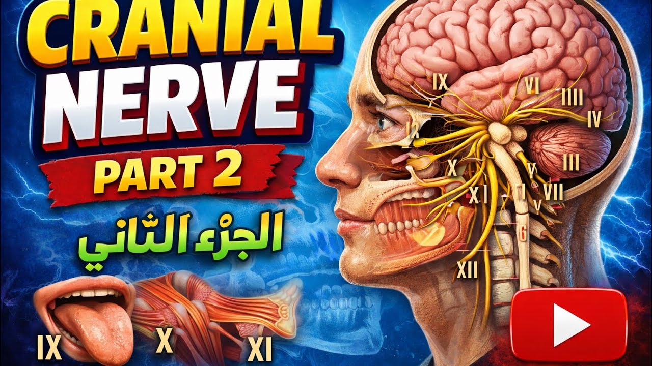 فسلجة عملي cranial nerve examination part 2