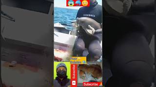 Omg😱 Poor Baby Dolphin🐬|She Stuck In Net😯